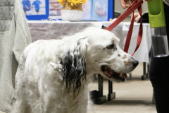 12-DSC04671