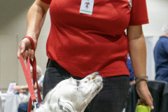 14-DSC04677