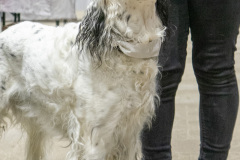 15-DSC04680